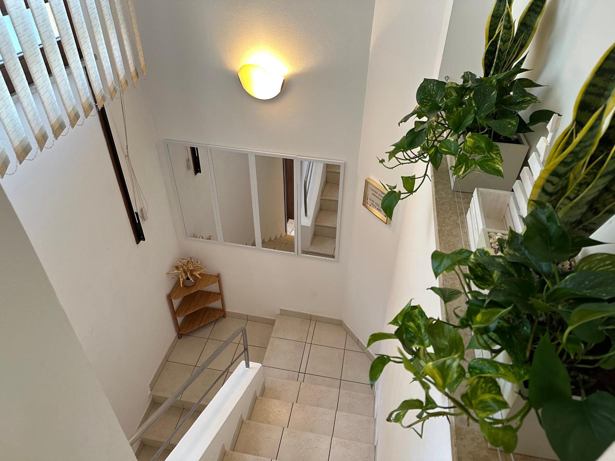 Domus Sofia Historic Center Rimini Apartment Extérieur photo